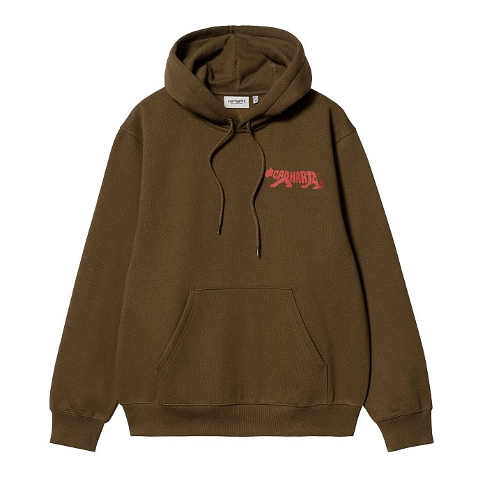 Толстовка Carhartt WIP Hooded Rocky Script Sweat