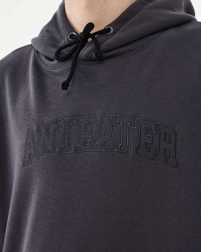 Толстовка Anteater Hoodie