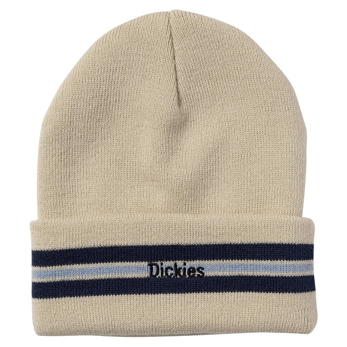 Шапка Dickies Skateboarding Tom Knox Beanie TK Fog